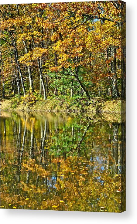 Autumn Acrylic Print featuring the photograph Leaning Trees by Frozen in Time Fine Art Photography