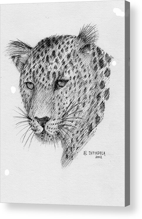 Leopard Acrylic Print featuring the drawing Leopard by Al Intindola