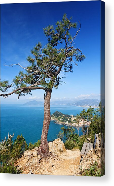 Bay Acrylic Print featuring the photograph Liguria - Tigullio gulf by Antonio Scarpi