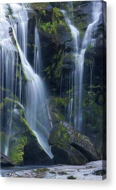 Waterfall Acrylic Print featuring the photograph Living Water by Carol Erikson