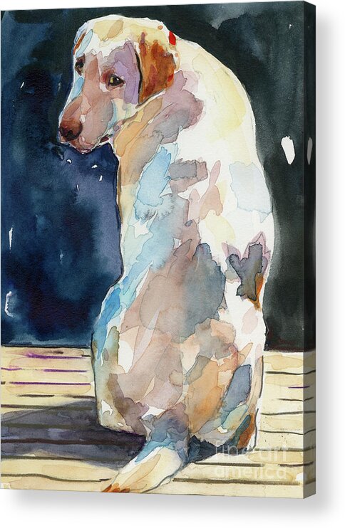 Labrador Retriever Acrylic Print featuring the painting Lucy Moon by Molly Poole