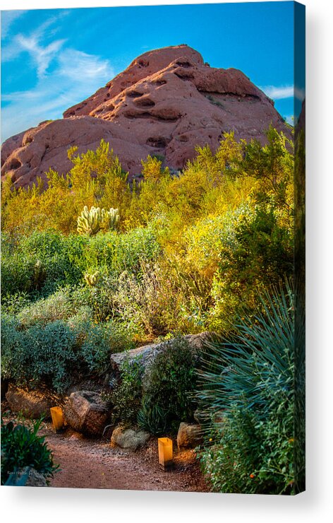 Hdr Acrylic Print featuring the photograph Luminarias in the Afternoon by Ross Henton