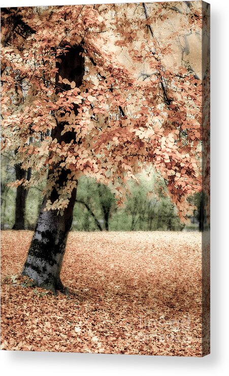 Autumn Acrylic Print featuring the photograph Magical Fall by Hannes Cmarits