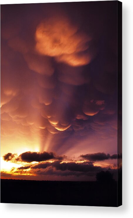 Mammatus Acrylic Print featuring the photograph Mammatus Sunset over Colorado by Jason Politte