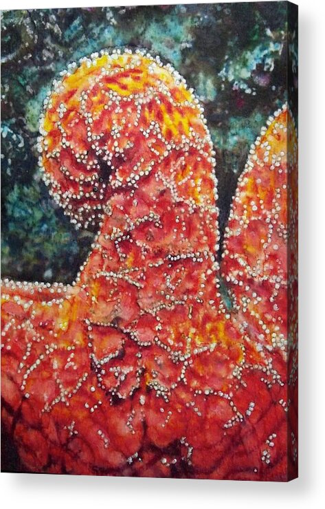 Starfish Acrylic Print featuring the painting Marvel of Nature by Cara Frafjord