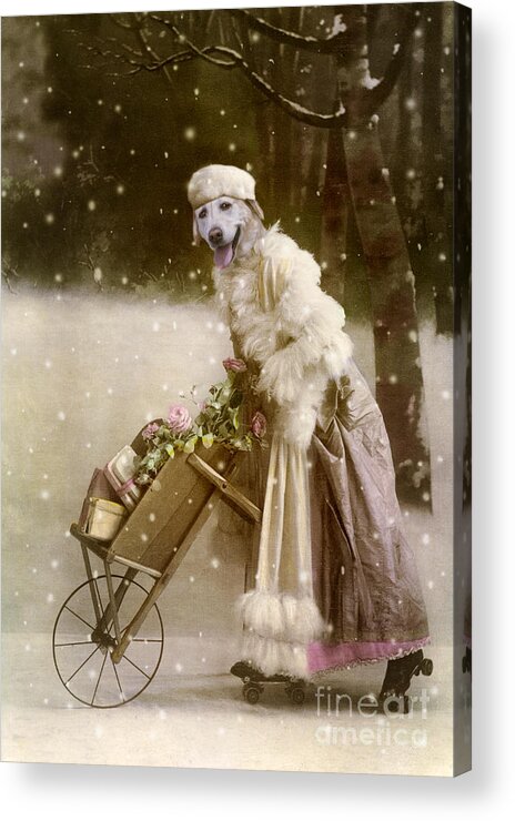 Christmas Acrylic Print featuring the digital art Merry Christmas by Martine Roch