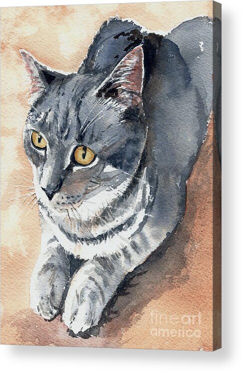 Watercolor Acrylic Print featuring the painting Misty Taking Over My Desk by Lynn Babineau