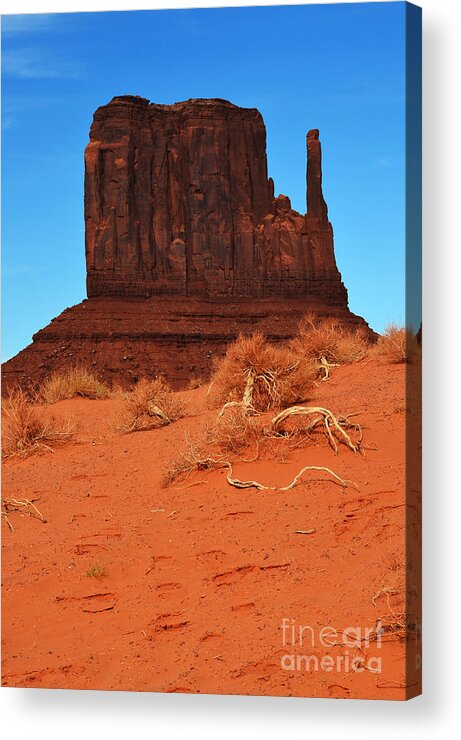 Monument Valley Acrylic Print featuring the photograph Monument Valley Mitten Monolith Scenic Landscape Vertical by Shawn O'Brien