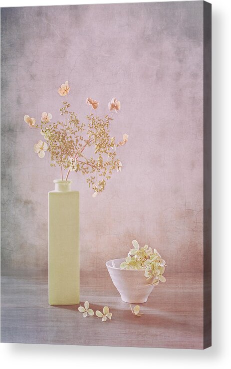 Still Life Acrylic Print featuring the photograph Morning Light by Sophie Pan