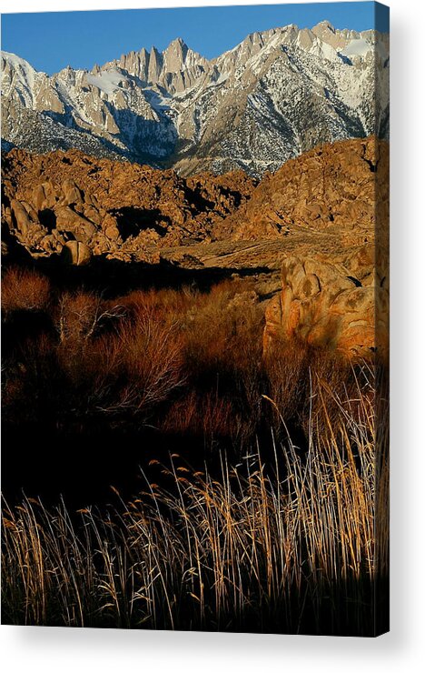 Mount Acrylic Print featuring the photograph Mount Whitney from the Alabama Hills in California by Jetson Nguyen