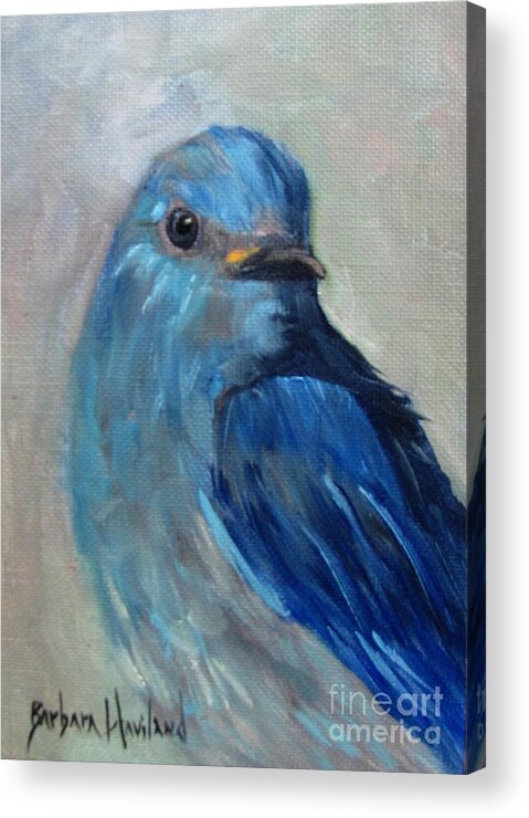 Mountain Blue Bird Acrylic Print featuring the painting Mountain Bluebird by Barbara Haviland