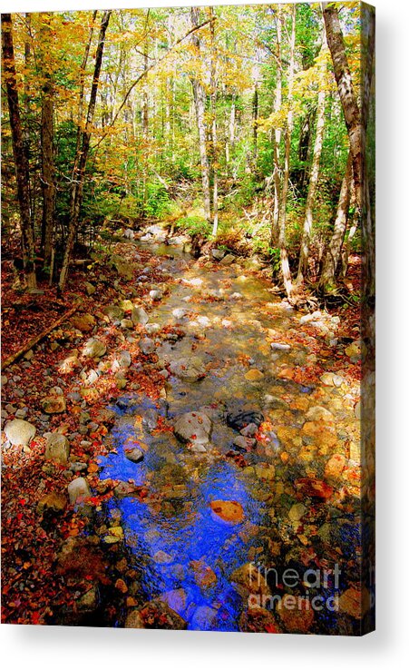 Mountain Streams Acrylic Print featuring the photograph Mountain Stream Covered With Fall Leaves by Eunice Miller