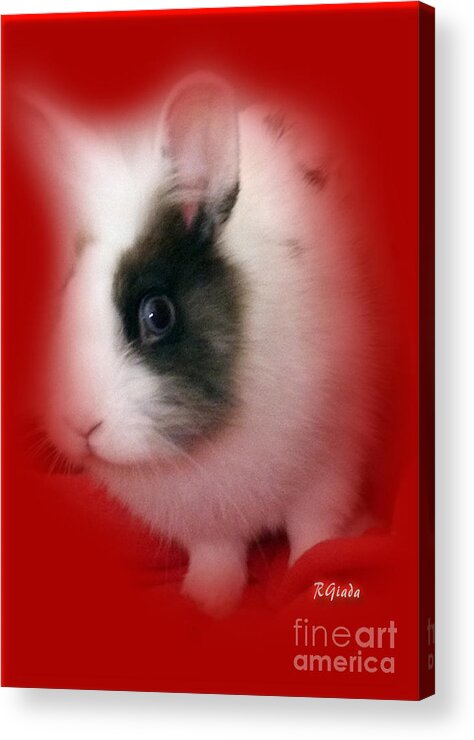 Mr.bamboo Acrylic Print featuring the digital art Mr. Bamboo - photograph by Giada Rossi by Giada Rossi