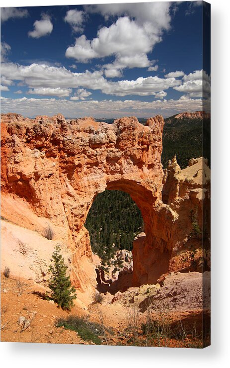 Bryce Acrylic Print featuring the photograph Natural Bridge in Bryce CanyonNational Park by Jean Clark