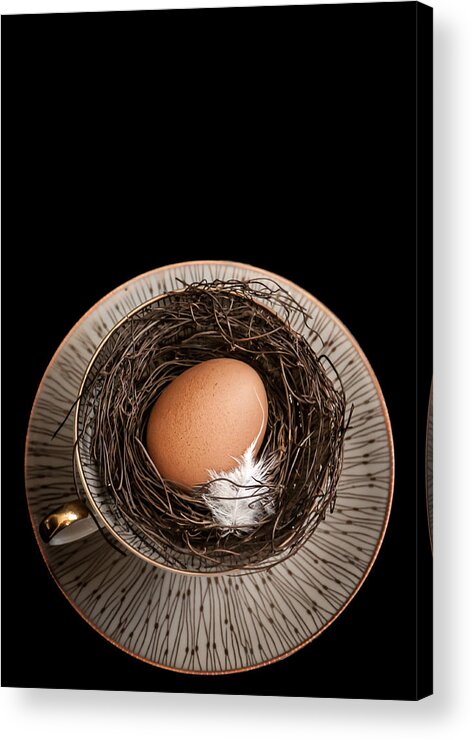 Egg Acrylic Print featuring the photograph New Home by Maggie Terlecki