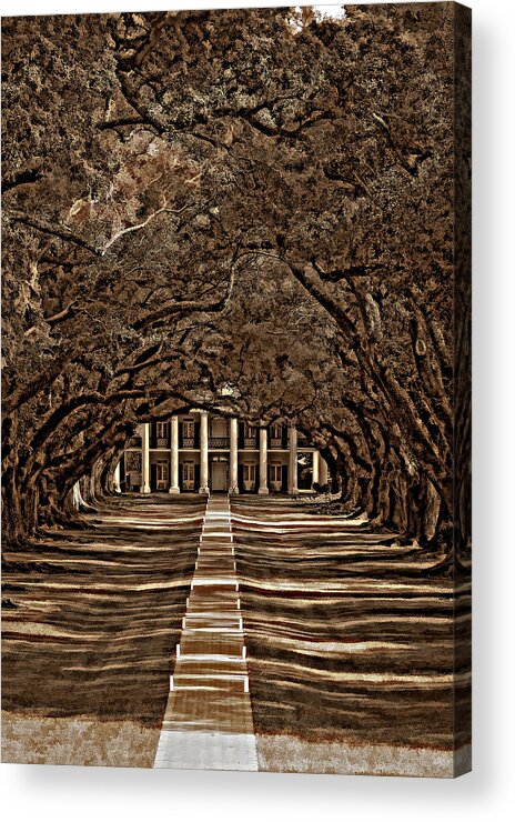 Oak Alley Plantation Acrylic Print featuring the photograph Oak Alley bw by Steve Harrington