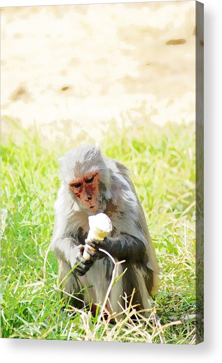 Monkey Acrylic Print featuring the digital art Oil Painting - A monkey eating an ice cream by Ashish Agarwal