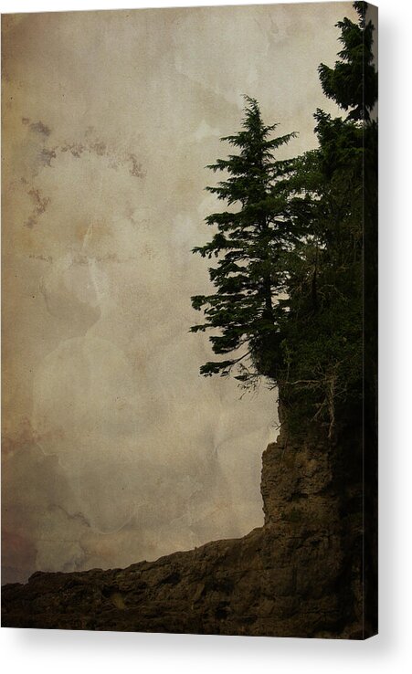 Conifers Acrylic Print featuring the photograph On the Edge by Marilyn Wilson