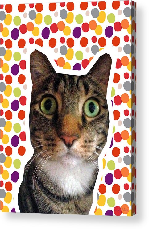 Cat Acrylic Print featuring the photograph Party Animal - Smaller Cat with Confetti by Linda Woods