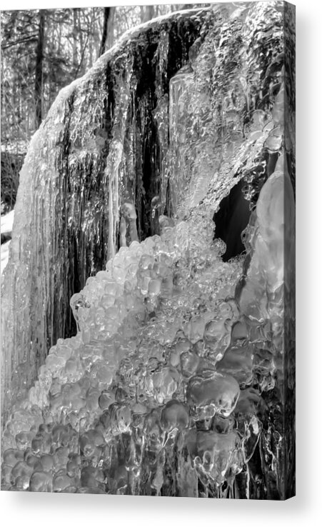 Black & White Acrylic Print featuring the photograph Patapsco State Park Frozen Water by Dennis Dame