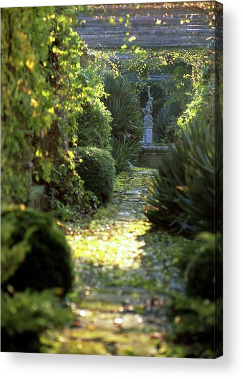 Garden Acrylic Print featuring the photograph Path Through A Pergola by Rachel Warne/science Photo Library
