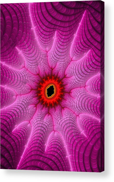 Pink Acrylic Print featuring the digital art Pink and red digital fractal art by Matthias Hauser