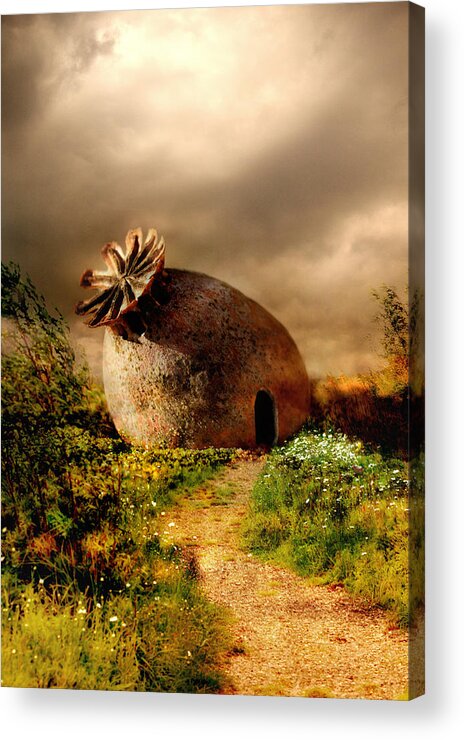 Scenery Acrylic Print featuring the photograph Poppy house in a sunny day by Jaroslaw Blaminsky