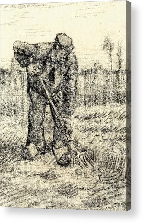 Potato Gatherer Acrylic Print featuring the painting Potato Gatherer by Vincent Van Gogh
