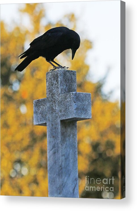 Crow On Cross Acrylic Print featuring the photograph Praying Crow on Cross by Luana K Perez