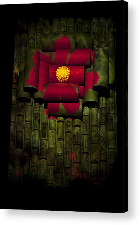 Bow Acrylic Print featuring the photograph Pretty as a Bow by Doug Davidson