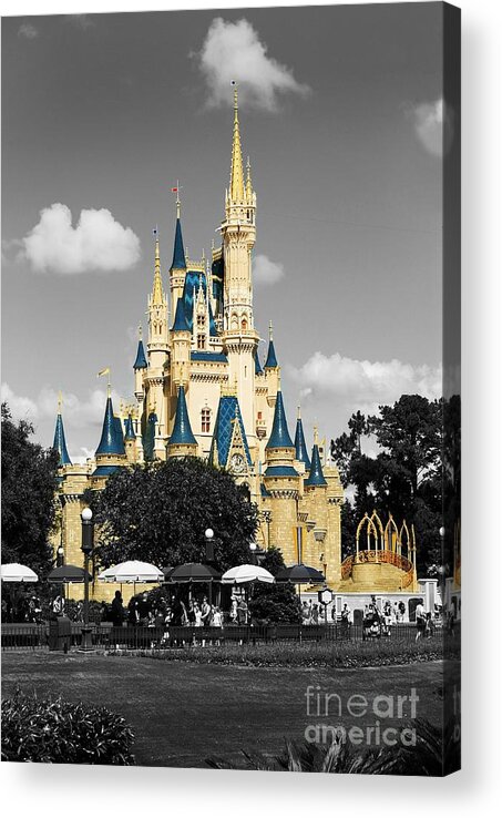 Castle Acrylic Print featuring the photograph Princess Castle by Eric Liller