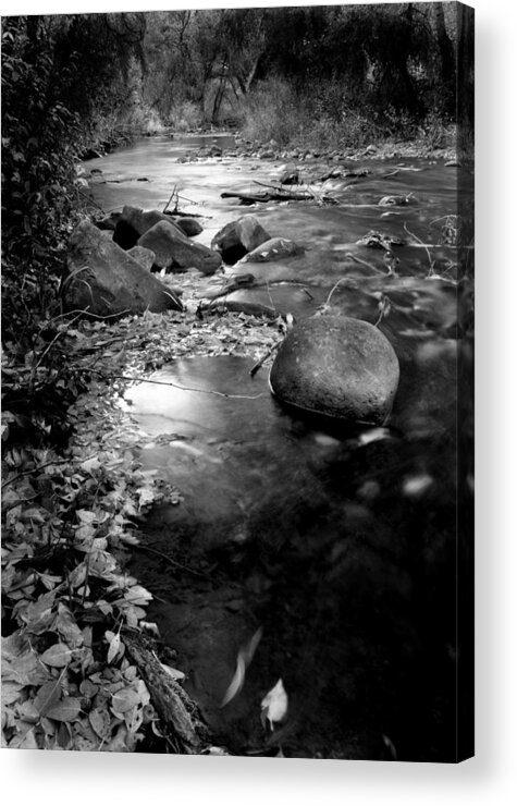 River Acrylic Print featuring the photograph Provo River Monochrome by Nathan Abbott