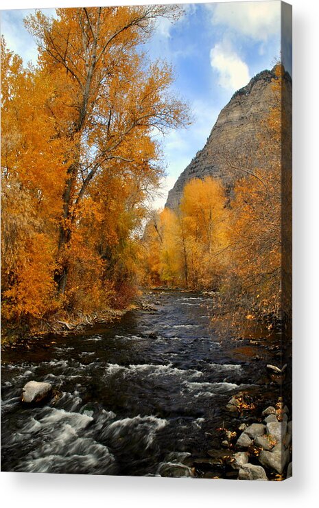 Fall Acrylic Print featuring the photograph Provo River Utah by Nathan Abbott