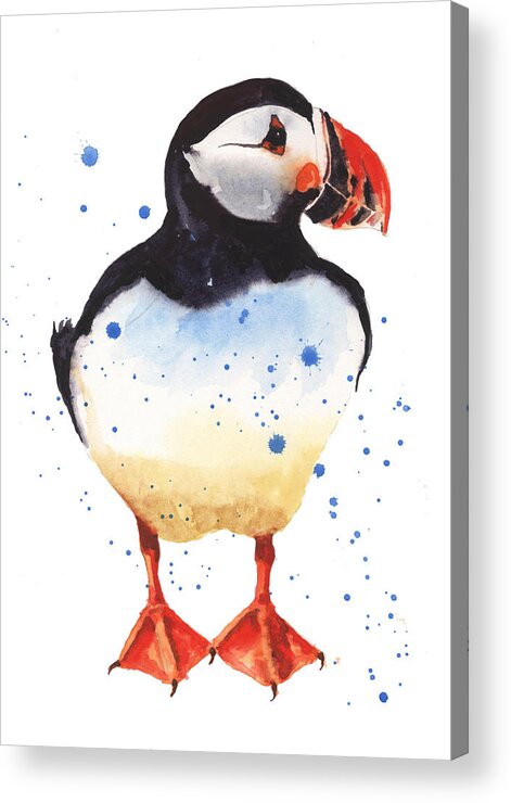 Puffin Acrylic Print featuring the painting Puffin Watercolor by Alison Fennell