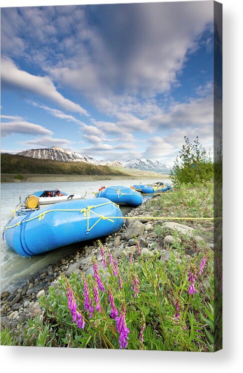 Growth Acrylic Print featuring the photograph Rafts And Wildflowers Along The Alsek by Josh Miller Photography