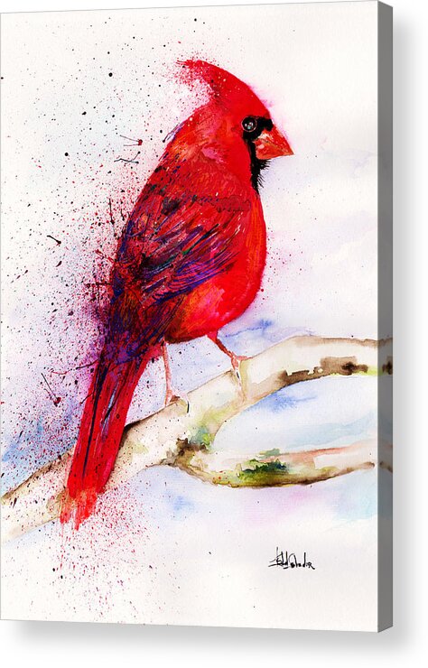 Painting Acrylic Print featuring the painting Red Cardinal by Isabel Salvador