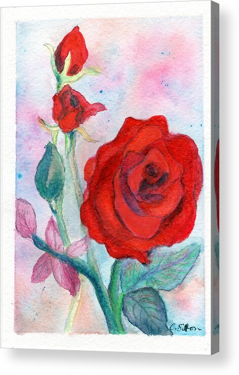 Rose Paintings Acrylic Print featuring the painting Red Roses by C Sitton