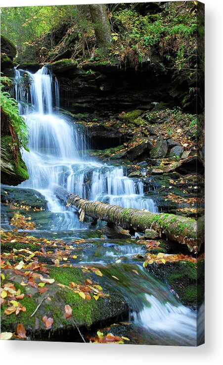 Cascade Waterfalls Acrylic Print featuring the photograph Ricketts Glen Hidden Waterfall by Crystal Wightman