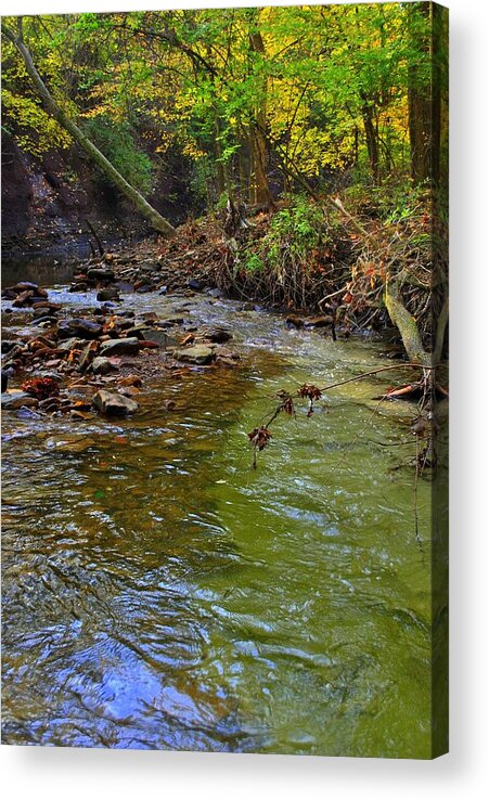 River Acrylic Print featuring the photograph River Bank by Frozen in Time Fine Art Photography