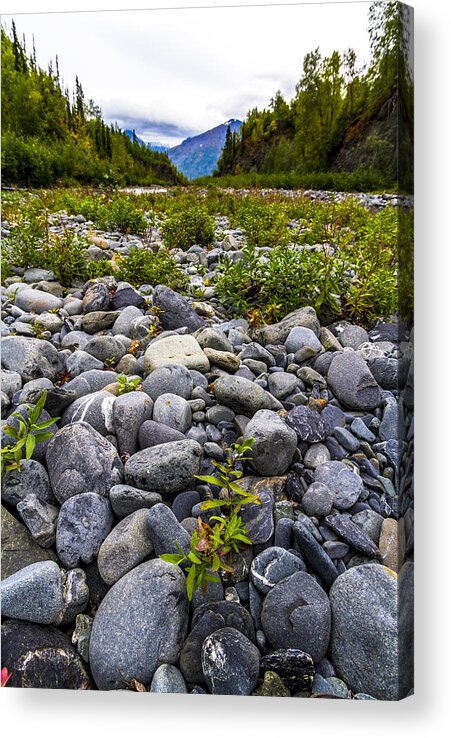 Landscape Acrylic Print featuring the photograph River Side by Kyle Lavey