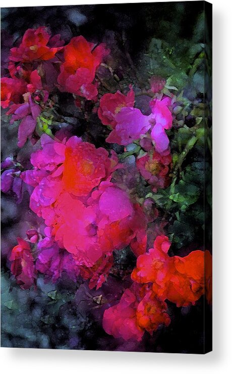 Floral Acrylic Print featuring the photograph Rose 235 by Pamela Cooper