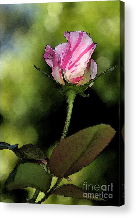 Floral Acrylic Print featuring the digital art Rose Bud by Kirt Tisdale