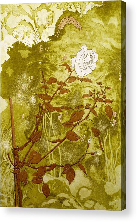 Still Lives Of Flowers Acrylic Print featuring the painting Rose by Valerie Daniel