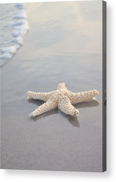 Beach Acrylic Print featuring the photograph Sea Star by Samantha Leonetti