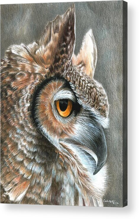 Owl Acrylic Print featuring the painting Sepia Owl by Carla Kurt