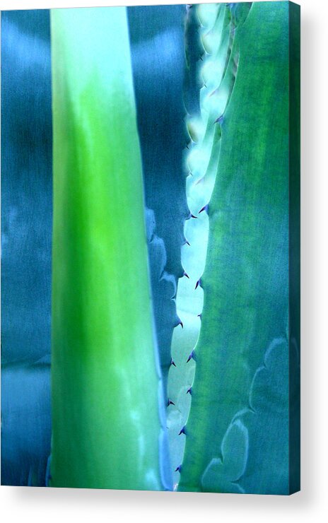 Digital Art Acrylic Print featuring the photograph Shades of cool by Jean Wolfrum