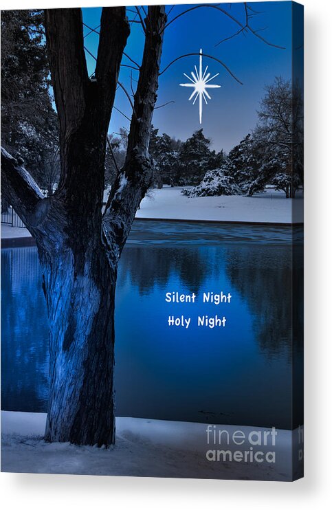 Landscape Acrylic Print featuring the photograph Silent Night by Betty LaRue