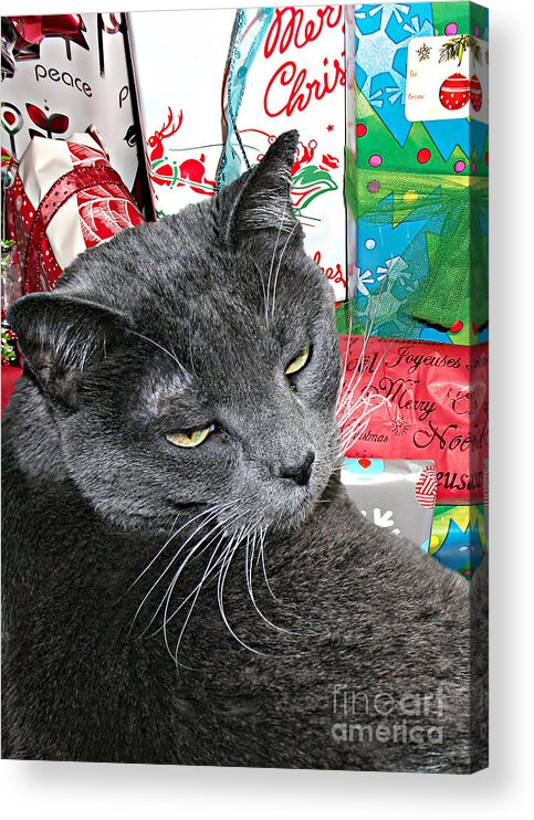 Merry Acrylic Print featuring the photograph Sleepy Christmas Cat by Gabriele Pomykaj