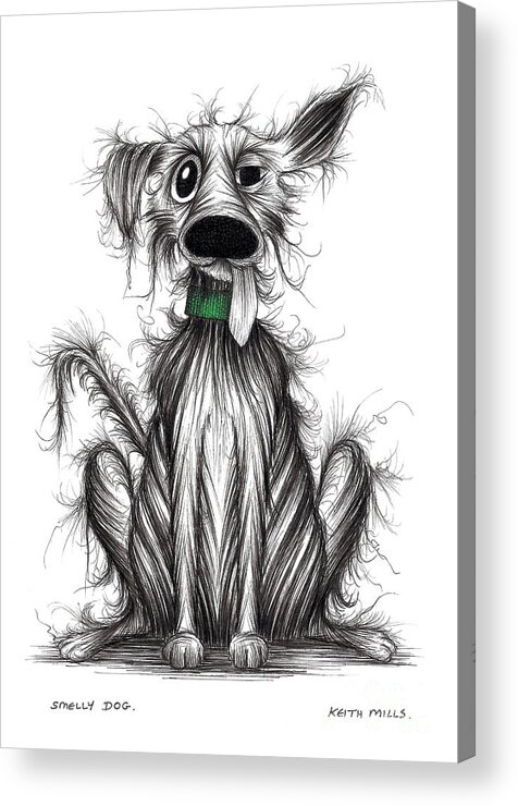 Smelly Dog Acrylic Print featuring the drawing Smelly dog by Keith Mills