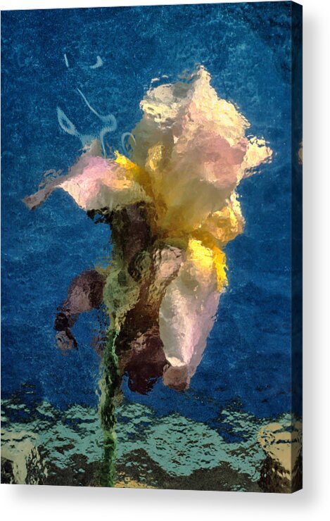 Iris Acrylic Print featuring the photograph Smoking Iris by Gary Slawsky